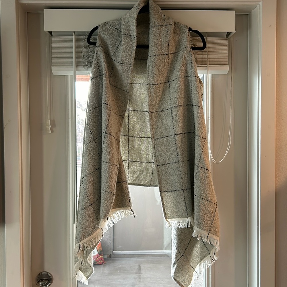 Express sweater vest